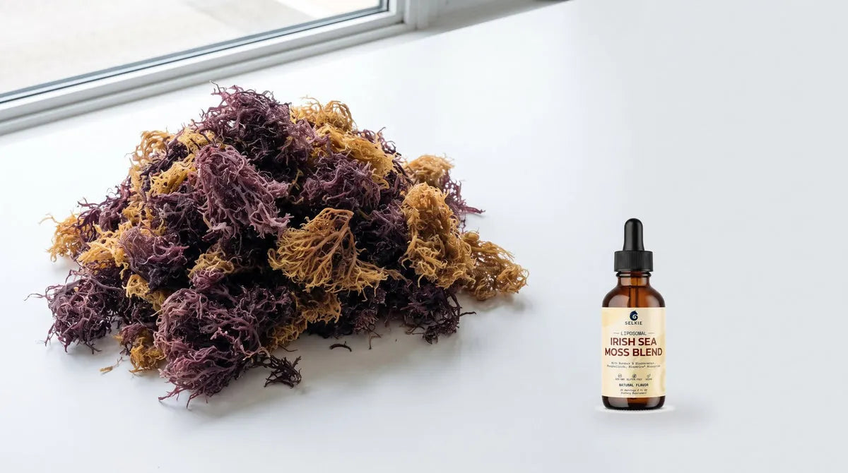 Dried sea moss heaped beside the Selkie dropper bottle